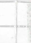 糸入り透明